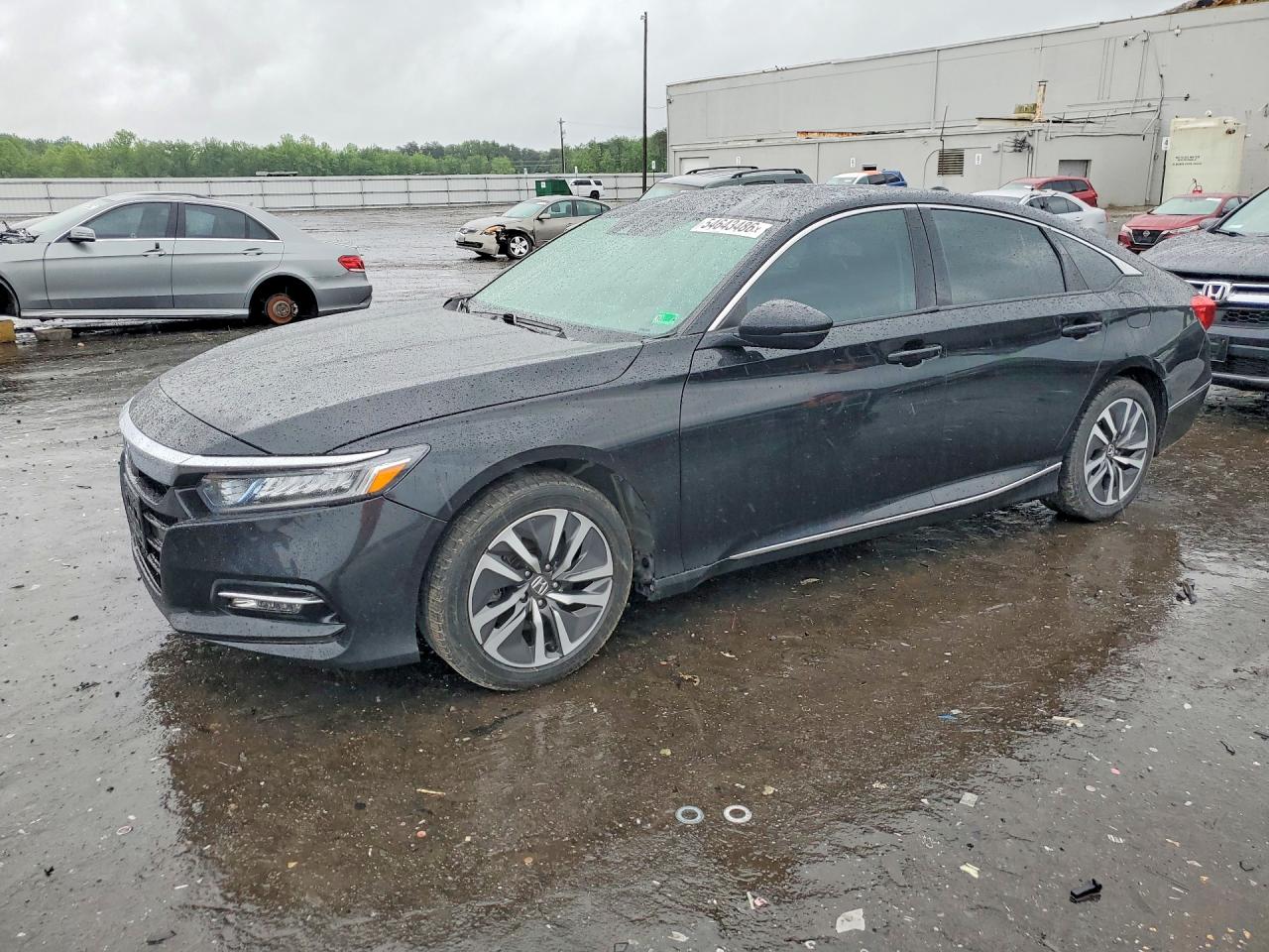 Salvage Honda Accord Image
