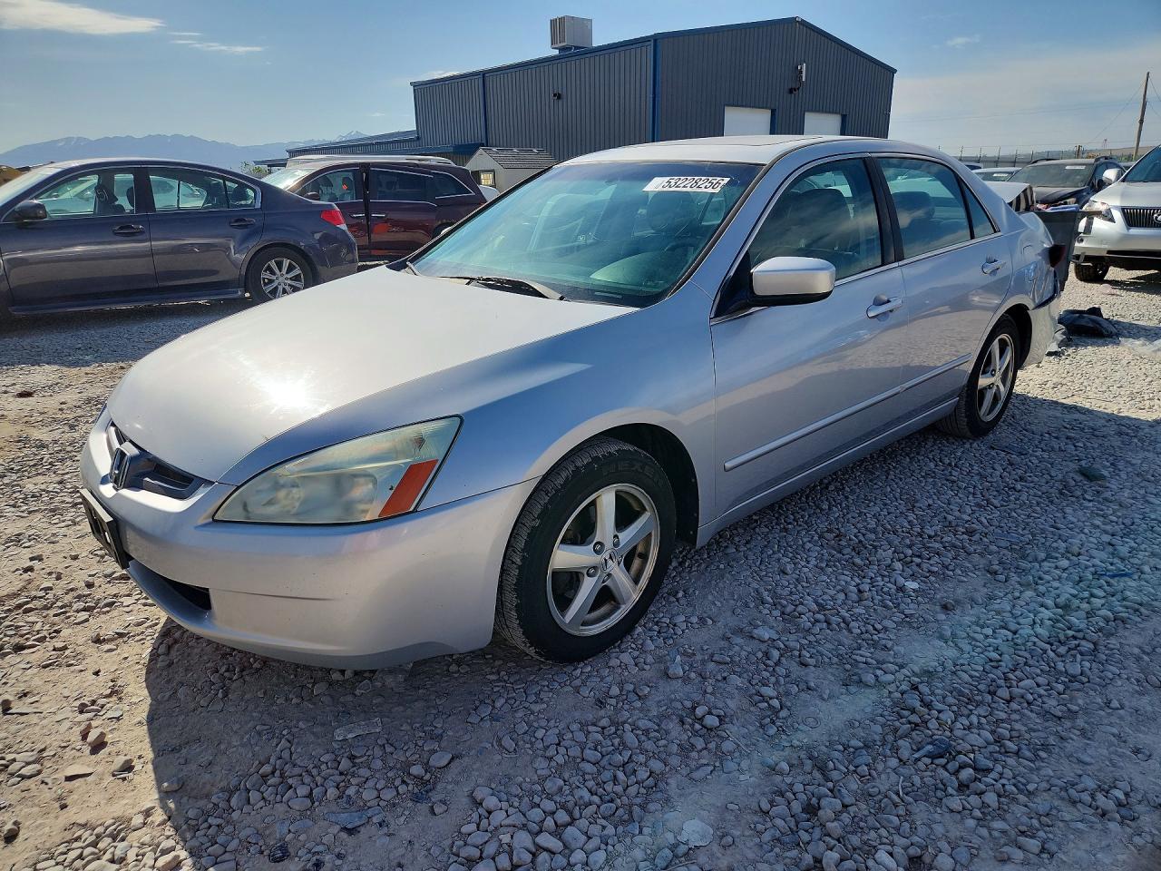 Salvage Honda Accord Image