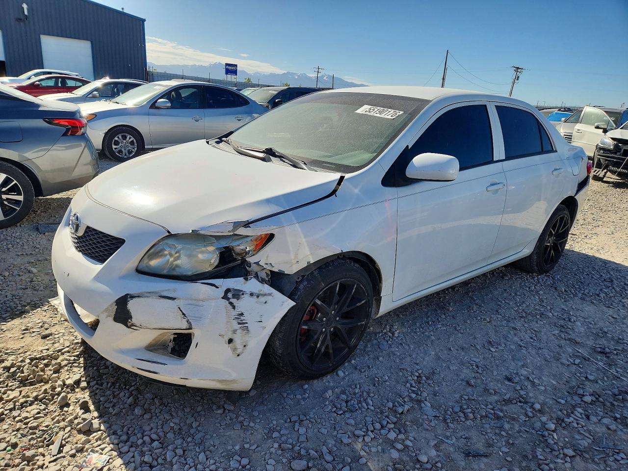 Salvage Toyota Corolla Image