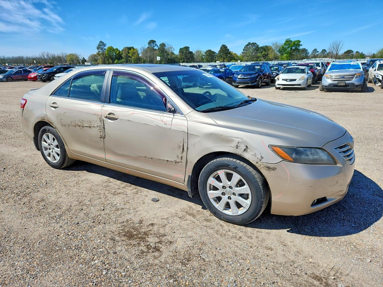Toyota Camry Xle V6