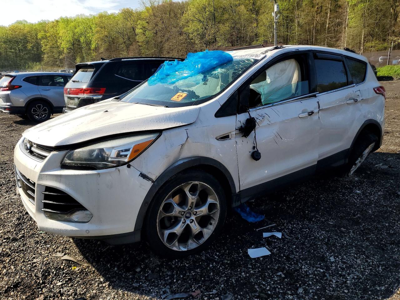 Salvage Ford Escape Image
