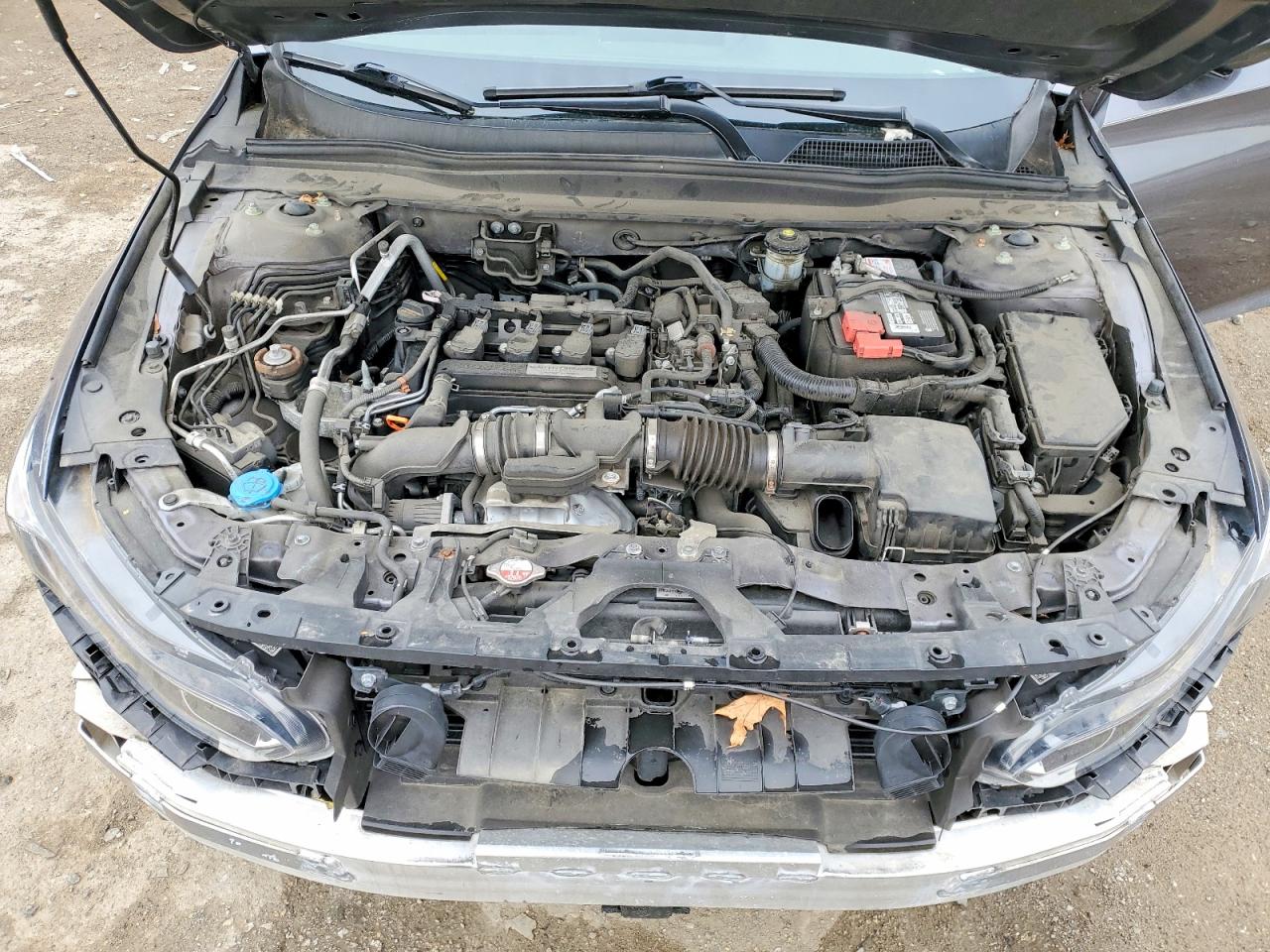 Honda Accord Exl