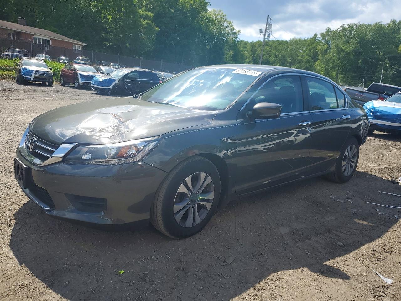 Salvage Honda Accord Image