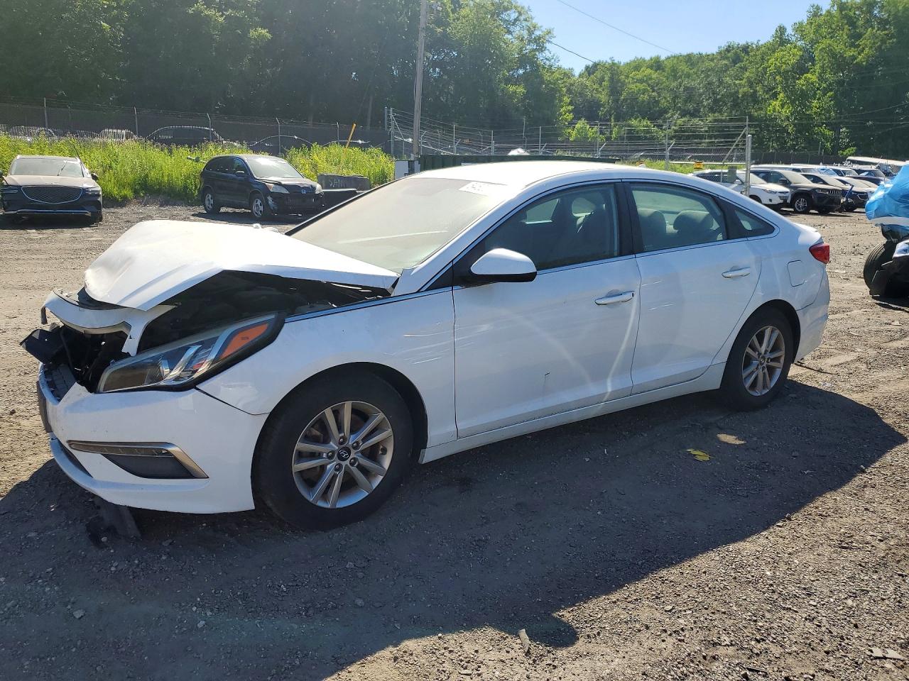 Salvage Hyundai SONATA Image