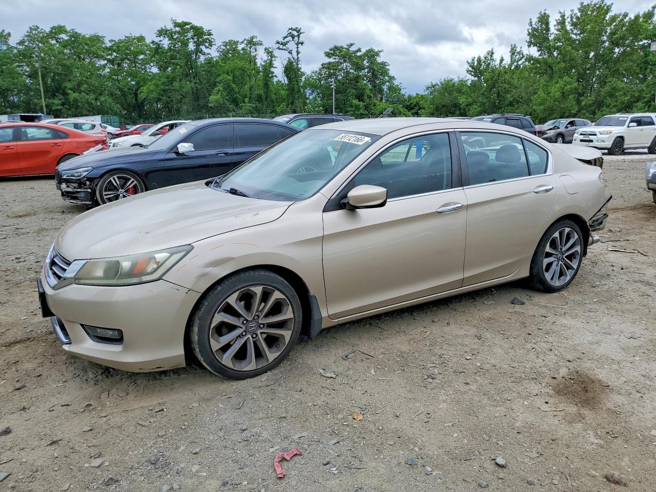 Salvage Honda Accord Image