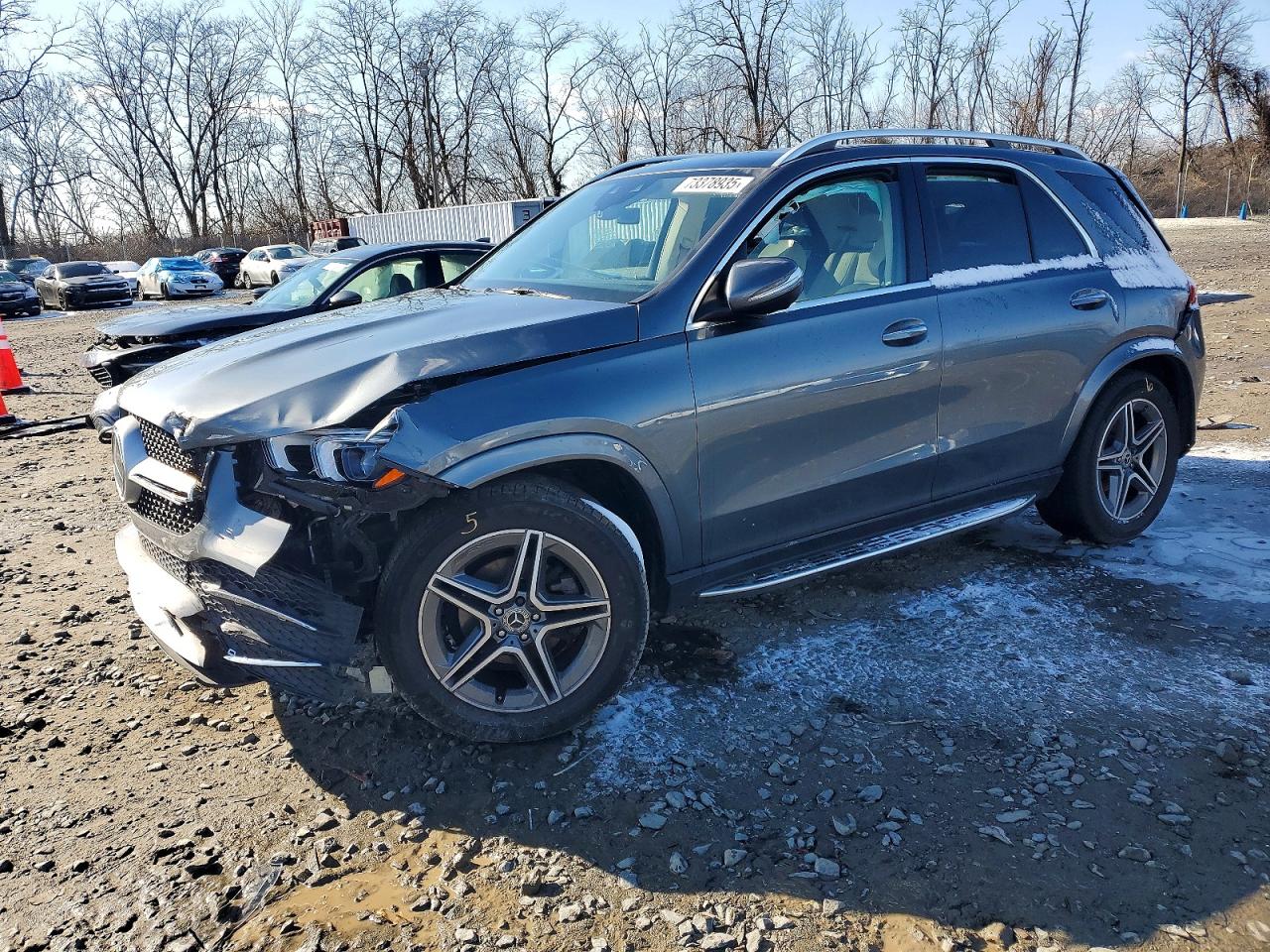 Salvage Mercedes-Benz GLE Image