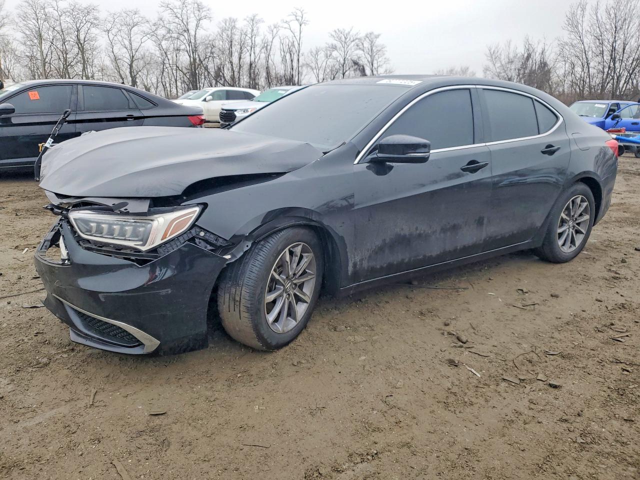 Salvage Acura TLX Image