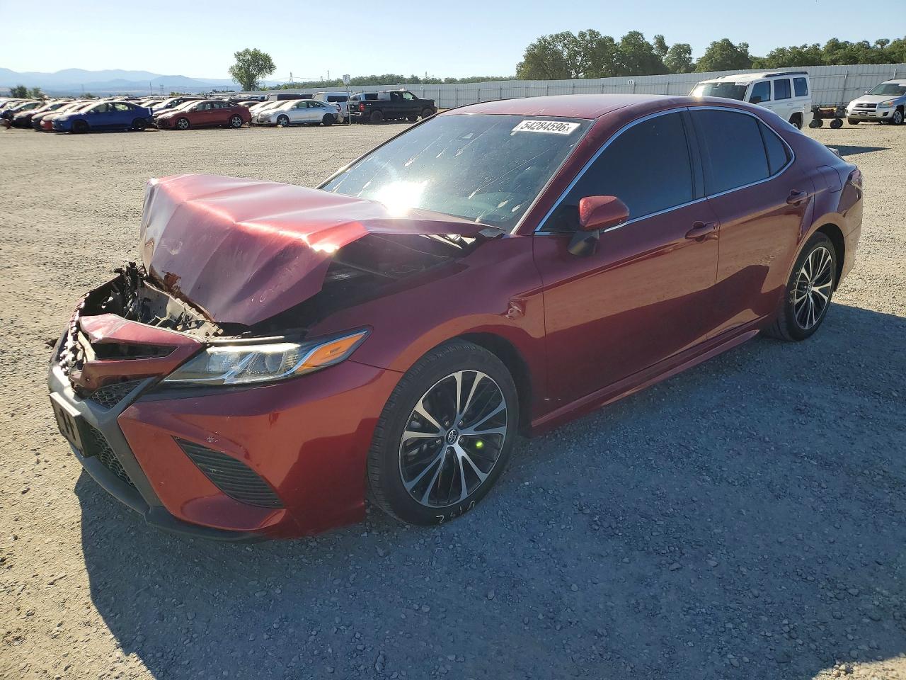 Salvage Toyota Camry Image