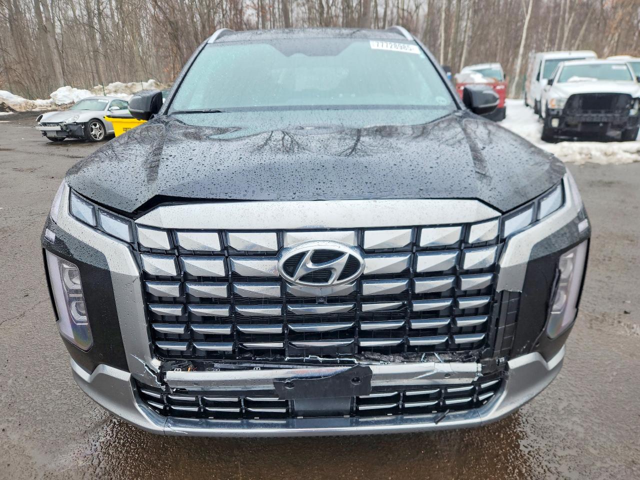 Hyundai PALISADE Calligraphy
