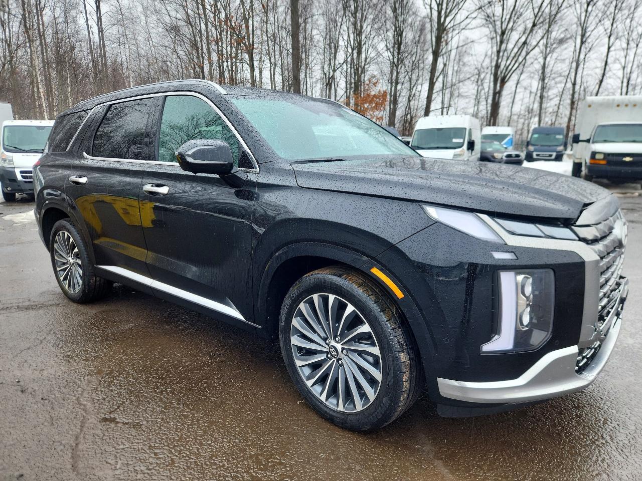 Hyundai PALISADE Calligraphy