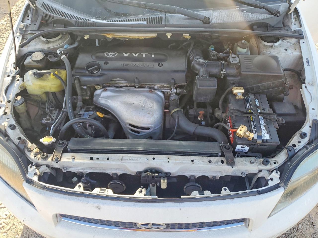 Scion TC Base