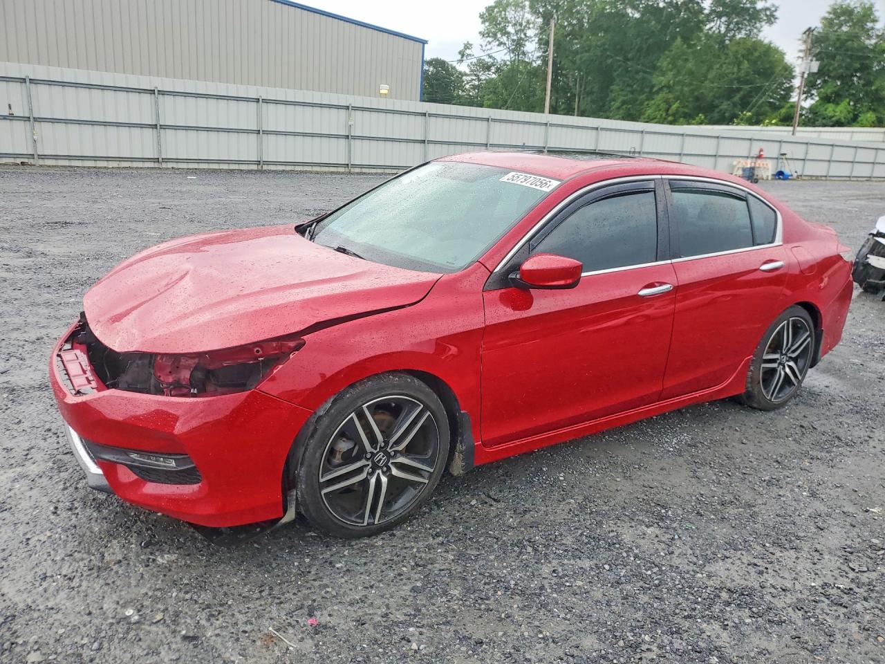 Salvage Honda Accord Image