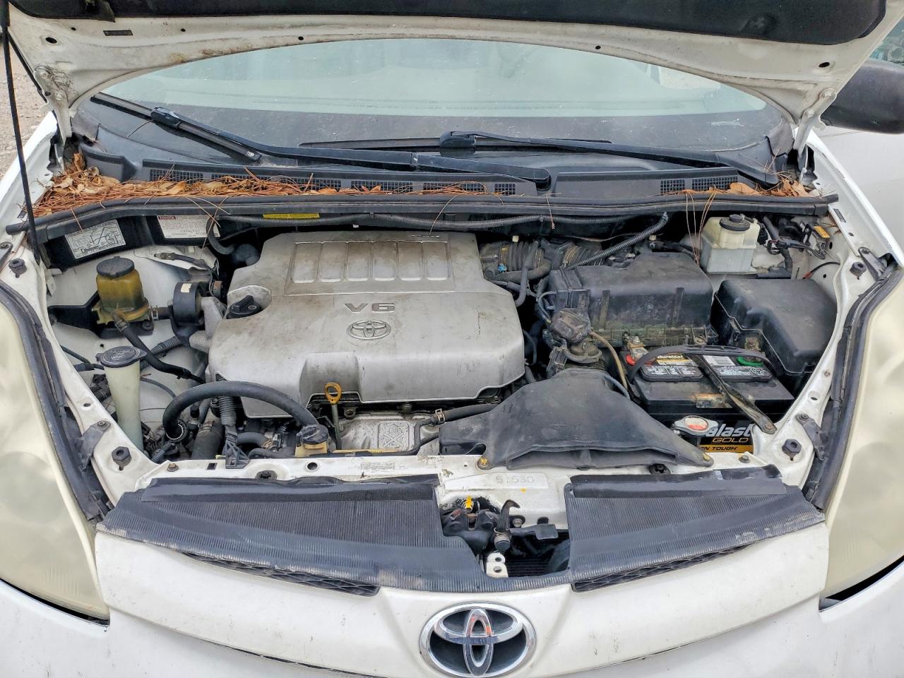 Toyota Sienna Le