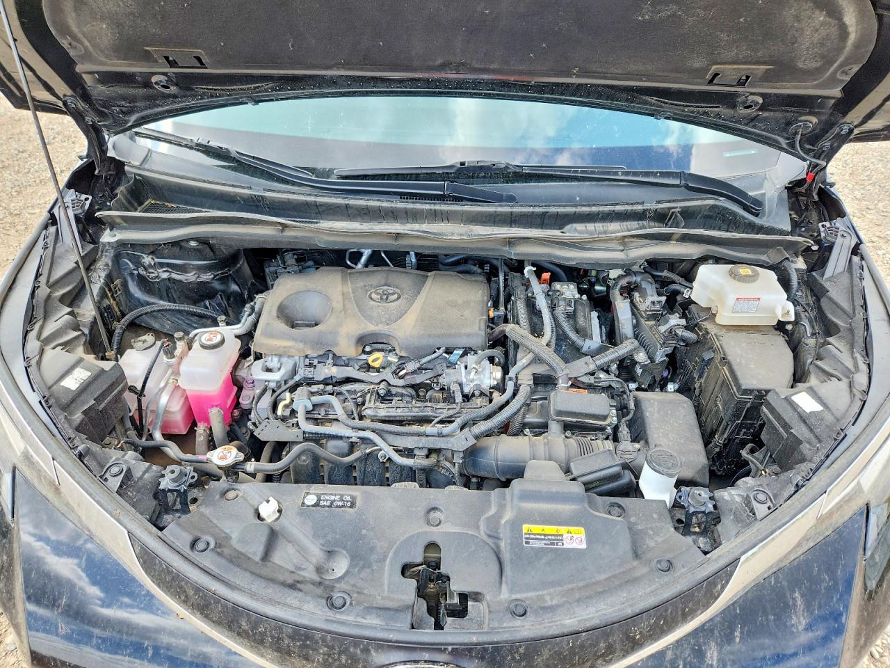 Toyota Sienna Xle