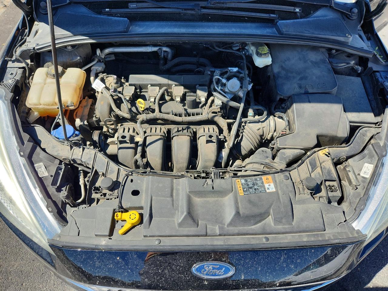 Ford Focus Se