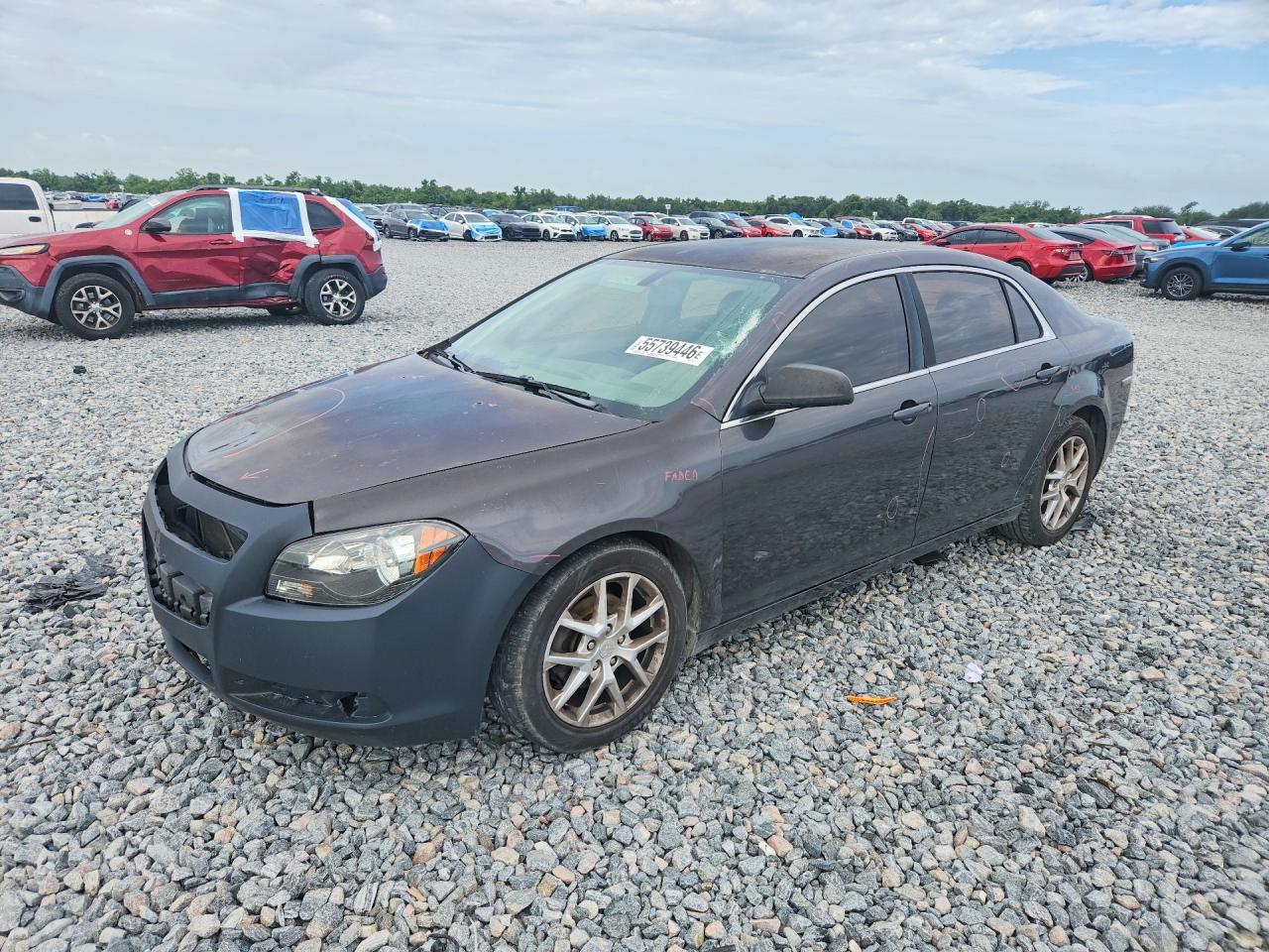 Salvage Chevrolet Malibu Image