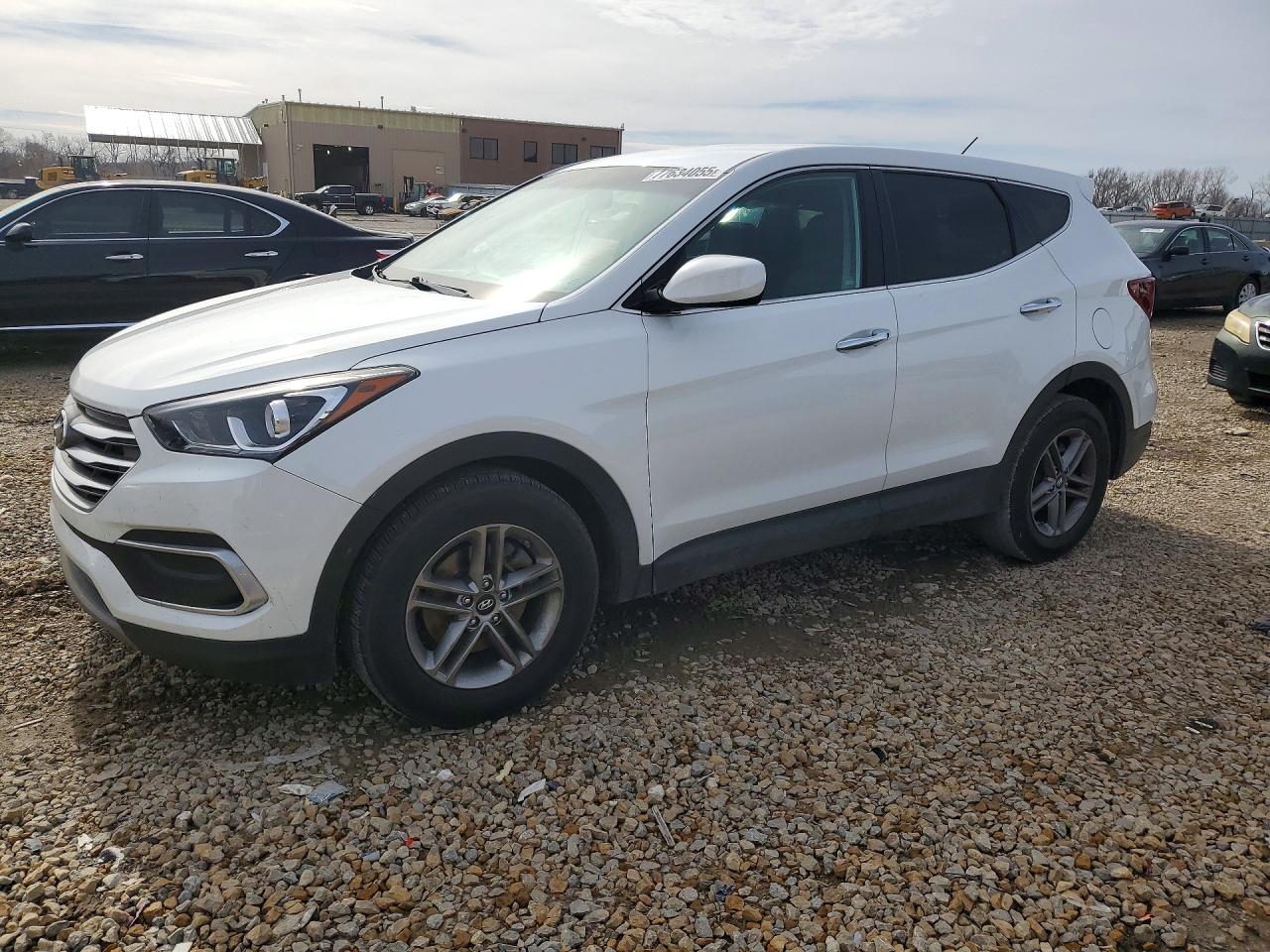 Salvage Hyundai SANTA FE Image