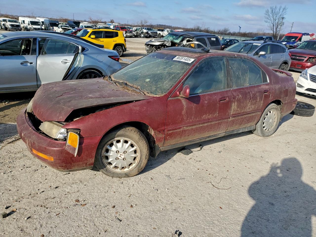 Salvage Honda Accord Image