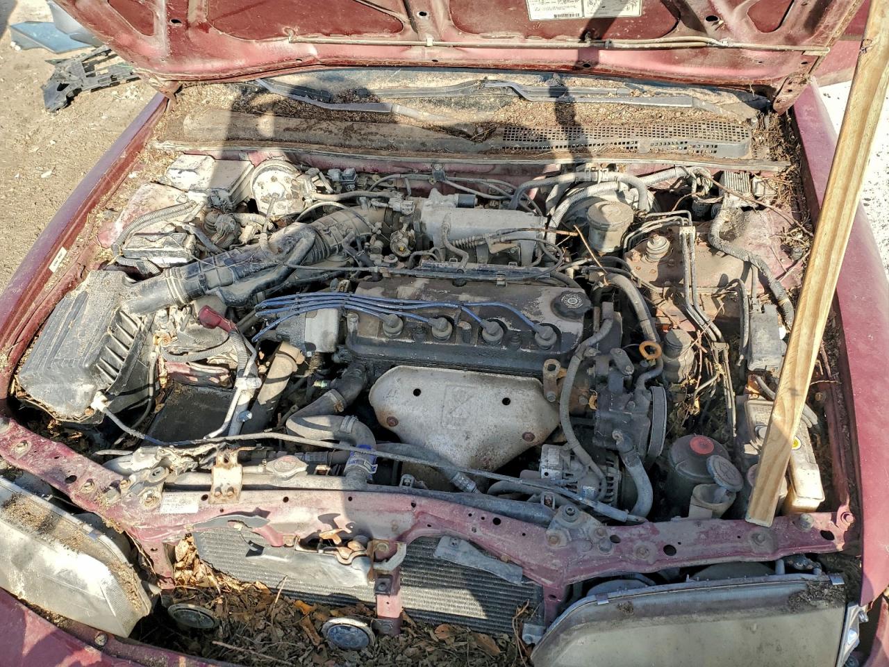 Honda Accord Ex