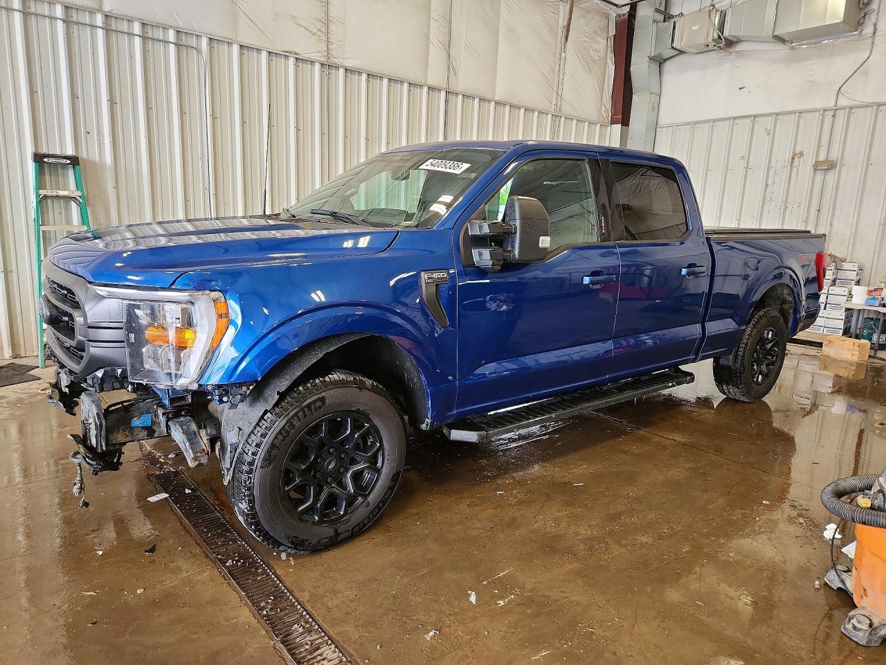 Salvage Ford F-150 Image