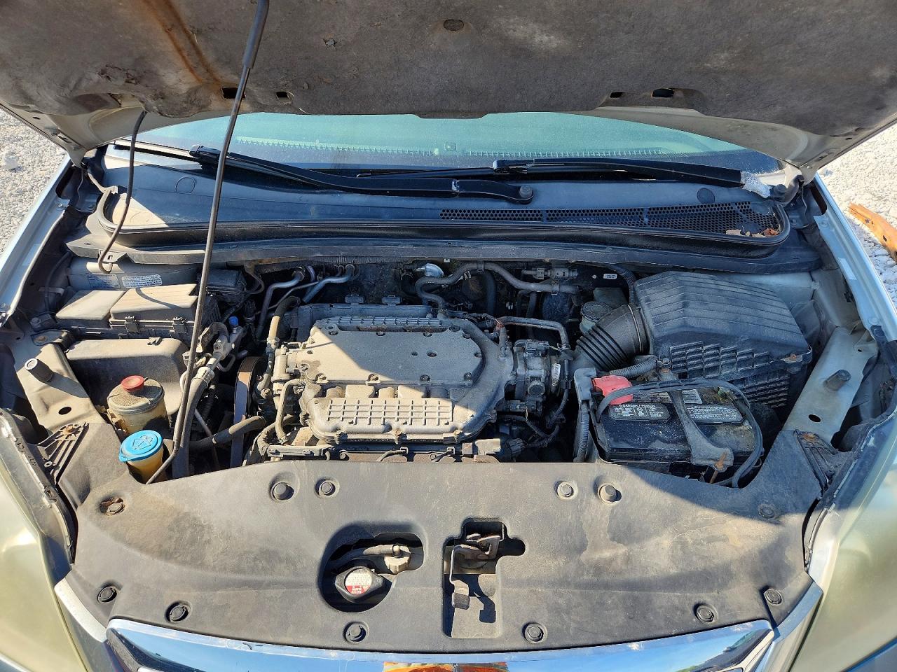 Honda Odyssey Exl