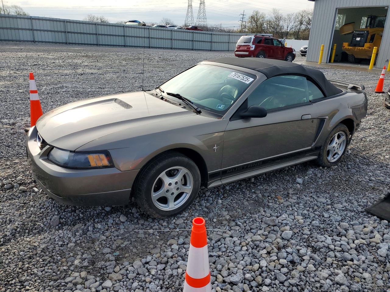 Salvage Ford Mustang Image