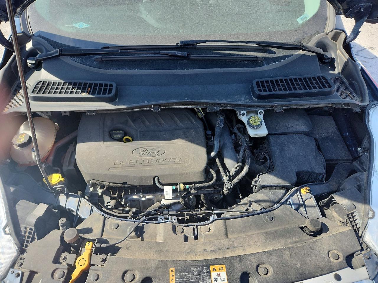 Ford Escape Se