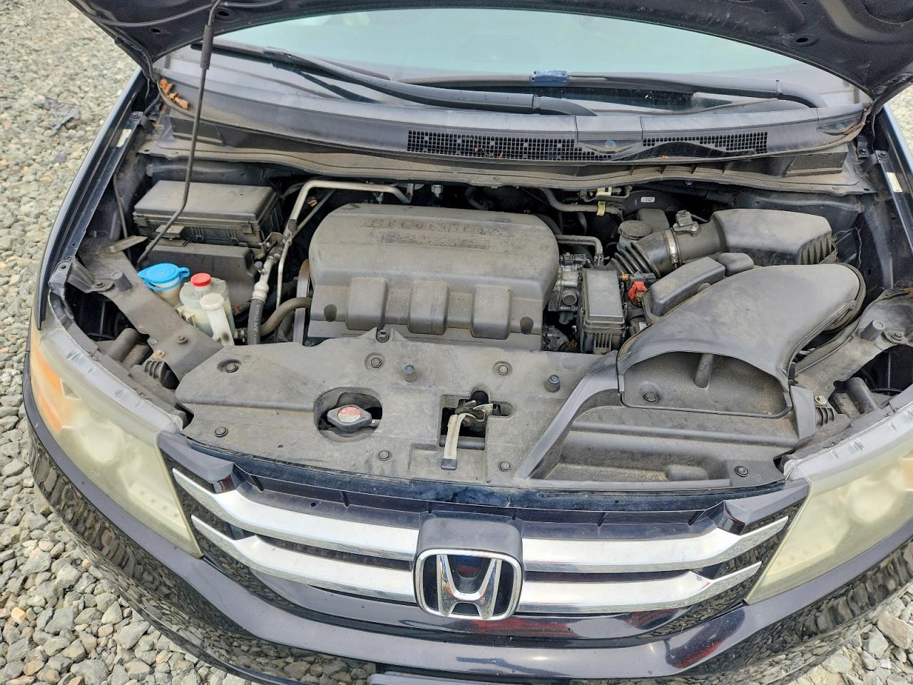 Honda Odyssey Exl