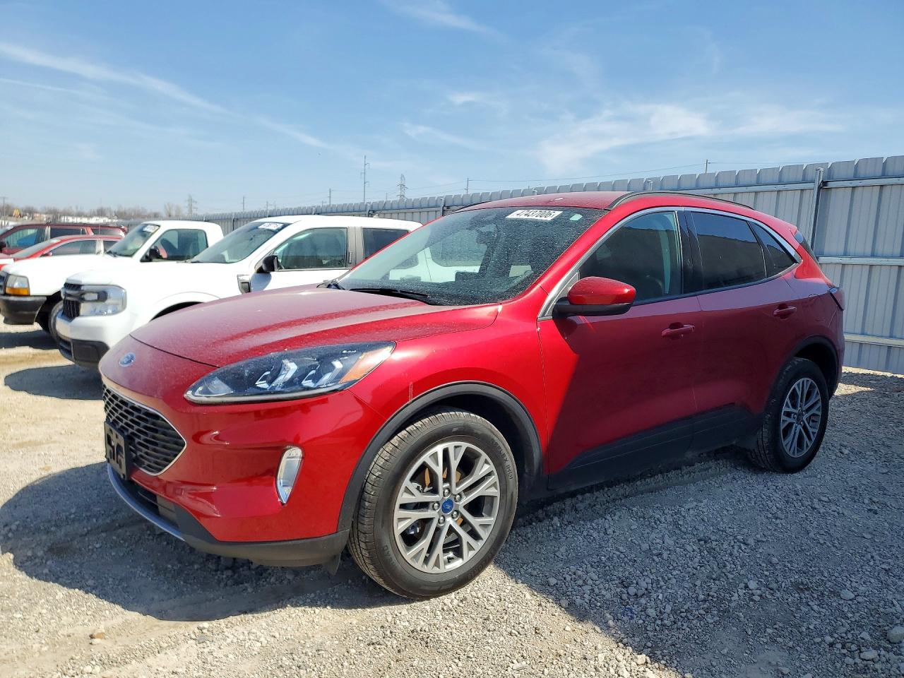 Salvage Ford Escape Image