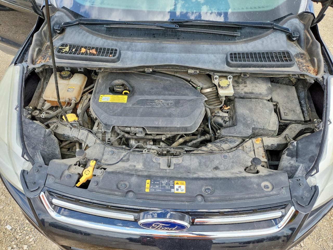 Ford Escape Sel