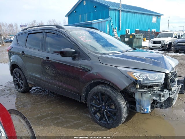 Ford Escape Se