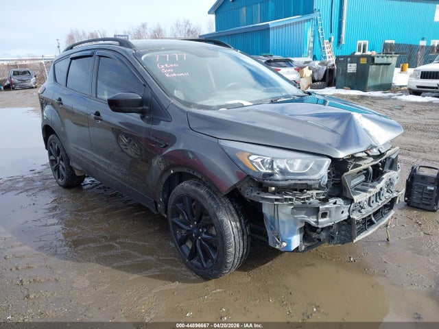 Salvage Ford Escape Image