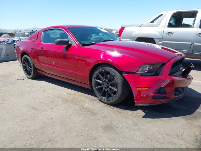 Salvage Ford Mustang Image