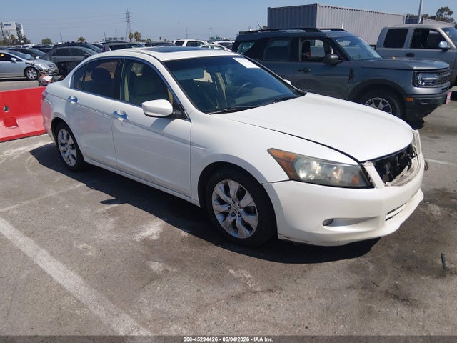 Salvage Honda Accord Image