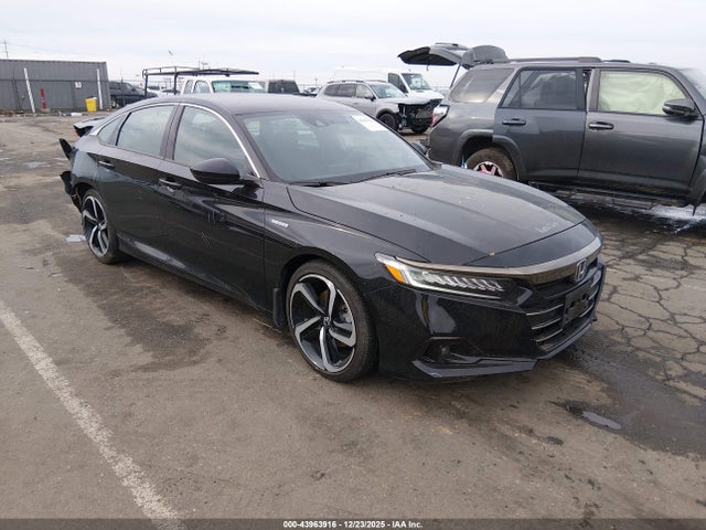 Salvage Honda Accord Image