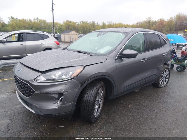 Ford Escape Sel