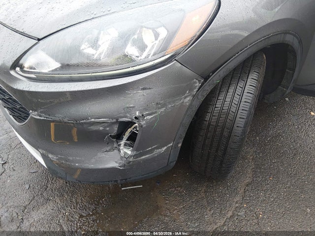 Ford Escape Sel