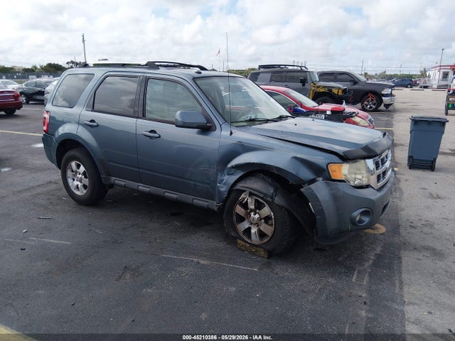 Salvage Ford Escape Image