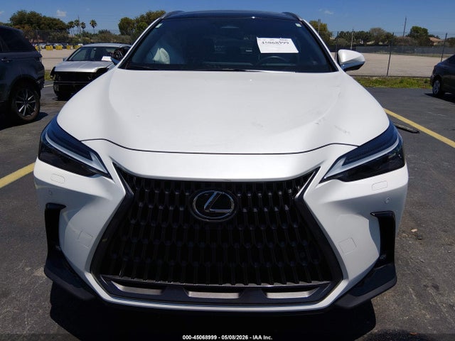 Lexus NX Luxury