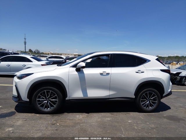 Lexus NX Luxury