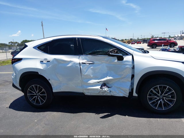 Lexus NX Luxury
