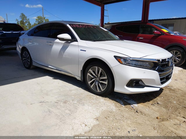 Salvage Honda Accord Image