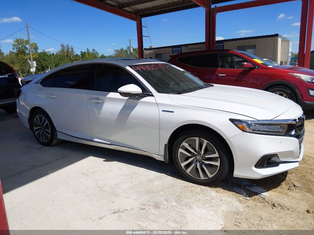 Honda Accord Ex-l