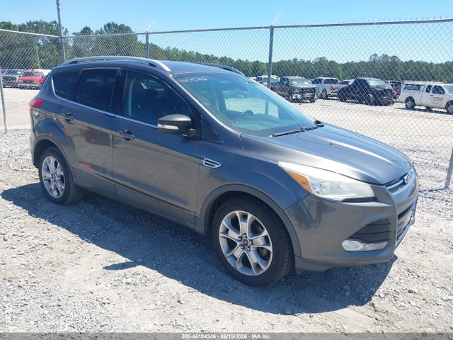 Salvage Ford Escape Image
