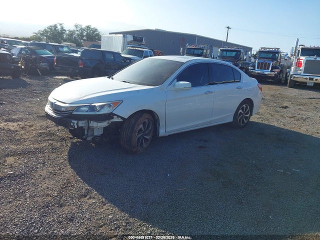 Honda Accord Ex-l V6