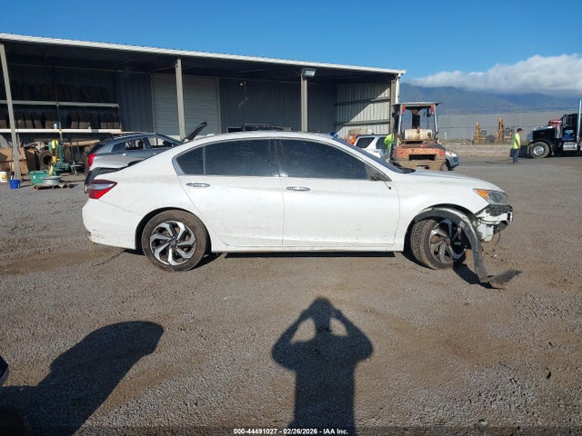 Honda Accord Ex-l V6