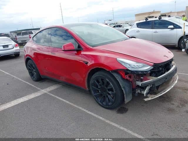 Salvage Tesla Model Y Image