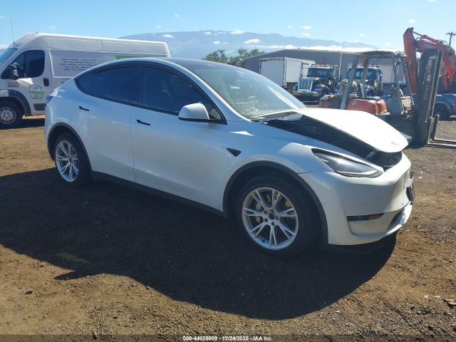 Salvage Tesla Model Y Image