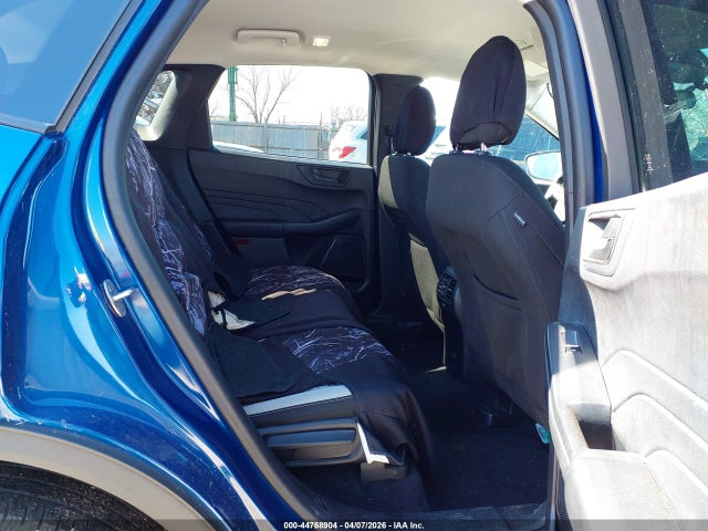 Ford Escape Active