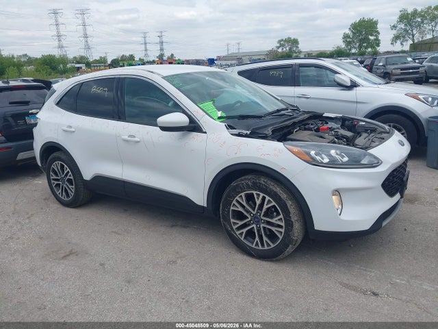 Salvage Ford Escape Image